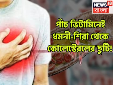 পাঁচ ভিটামিনই কোলেস্টেরল শেষ! সারাদিন এনার্জিতে ভরপুর! শরীর হবে চাঙ্গা, টানটানও পাঁচ ভিটামিনই কোলেস্টেরল শেষ! সারাদিন এনার্জিতে ভরপুর! শরীর হবে চাঙ্গা, টানটানও