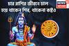 চার রাশির বিপদের রক্ষাকবচ শিব! কোনও বিপদ থাকেনা, সম্পত্তির পাহাড়, সাফল্যের পর সাফল্য