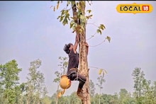 Artificial Nest : গাছের রসে ঢেকে দেওয়া হচ্ছে মানুষের হাতের গন্ধ! শীতের আগে পাখিদের জন্য রাজকীয় আয়োজন! কী চলছে জানেন?