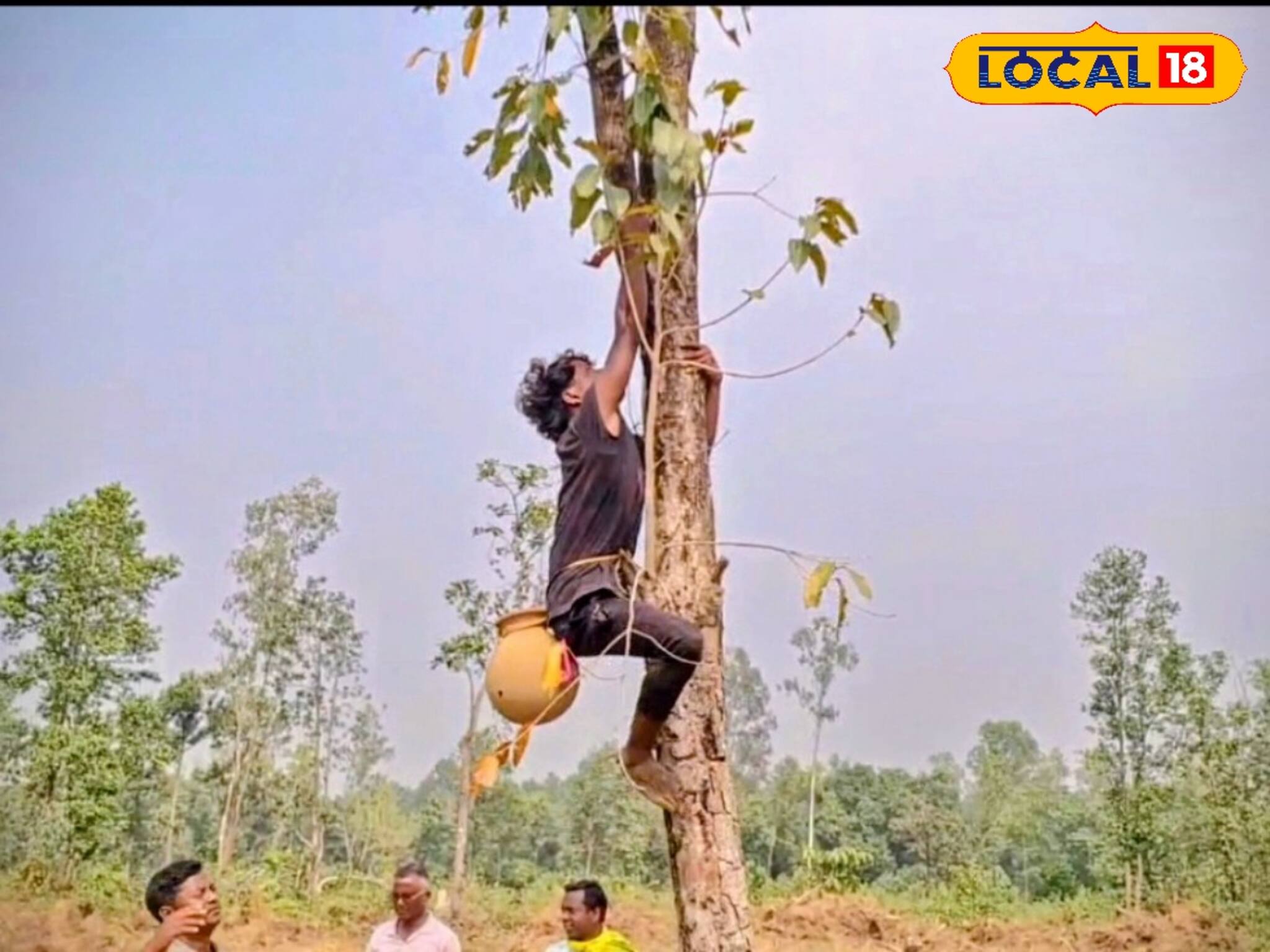 গাছে গাছে ঝোলানো হচ্ছে মাটির হাড়ি! শীতের আগে পাখিদের জন্য বিশাল আয়োজন