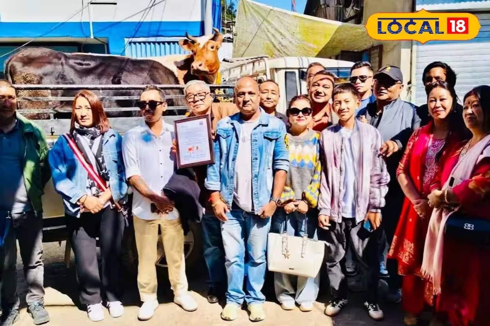 Asha Gau Project: রাজ্যে ফের নয়া প্রকল্প! গাই তিহার উৎসবে আশা গাউয়ের সূচনা, উৎসবের মরশুমে মিলল 'উপহার'