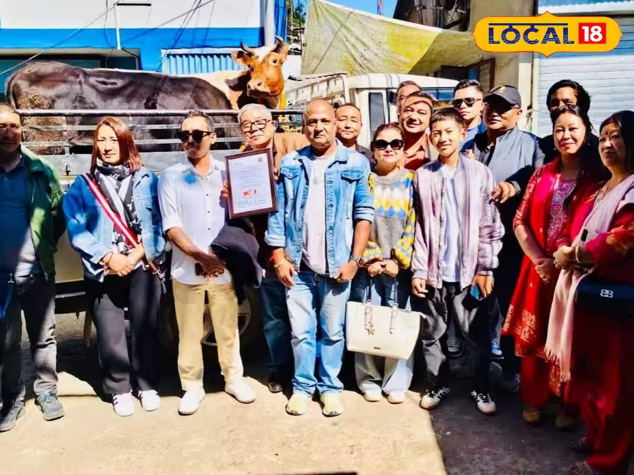 রাজ্যে ফের নয়া প্রকল্প! গাই তিহার উৎসবে আশা গাউয়ের সূচনা