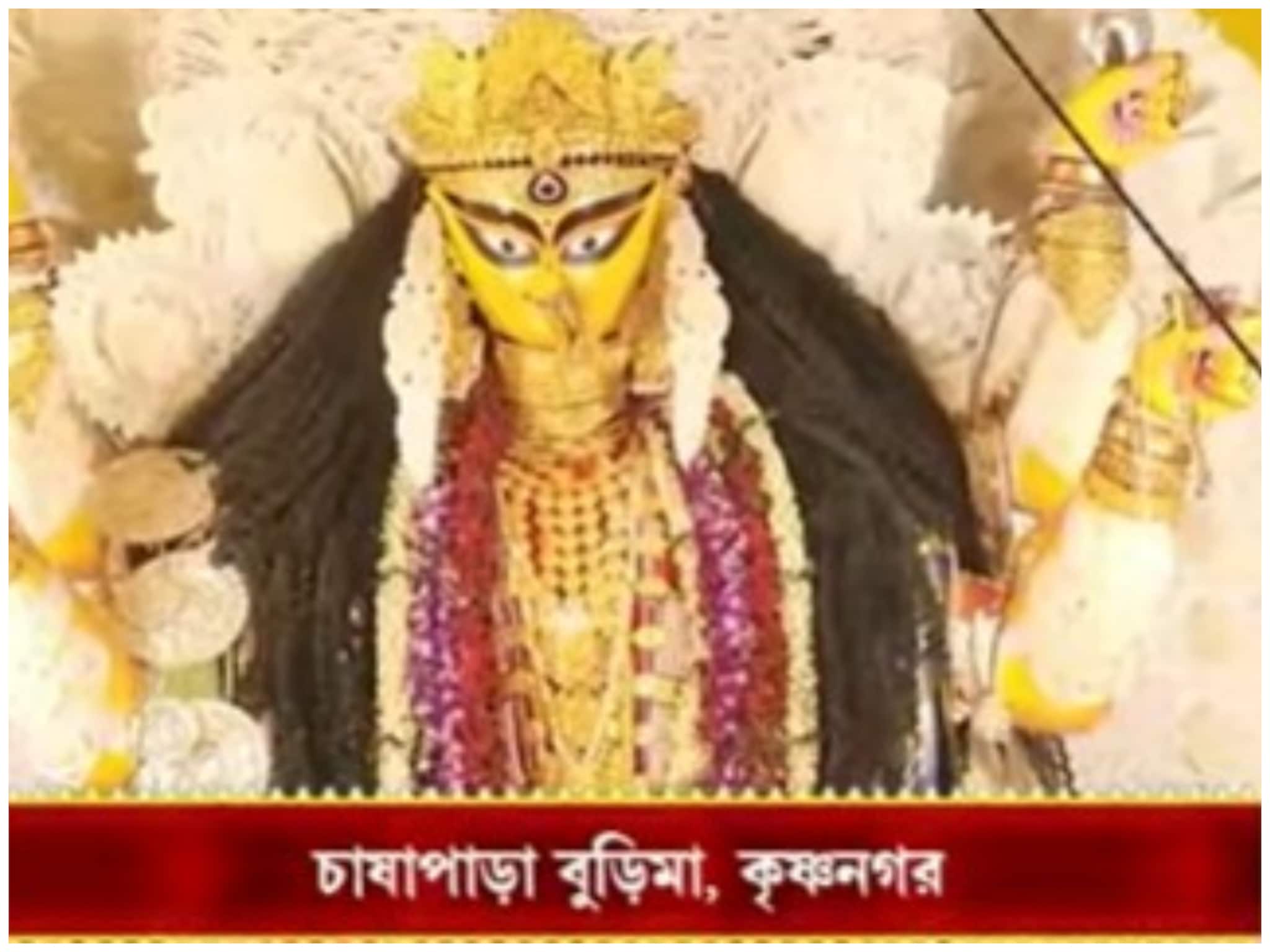 জগদ্ধাত্রী পুজোয় জমজমাট কৃষ্ণনগর, বুড়িমাকে দেখতে দর্শনার্থীর ঢল