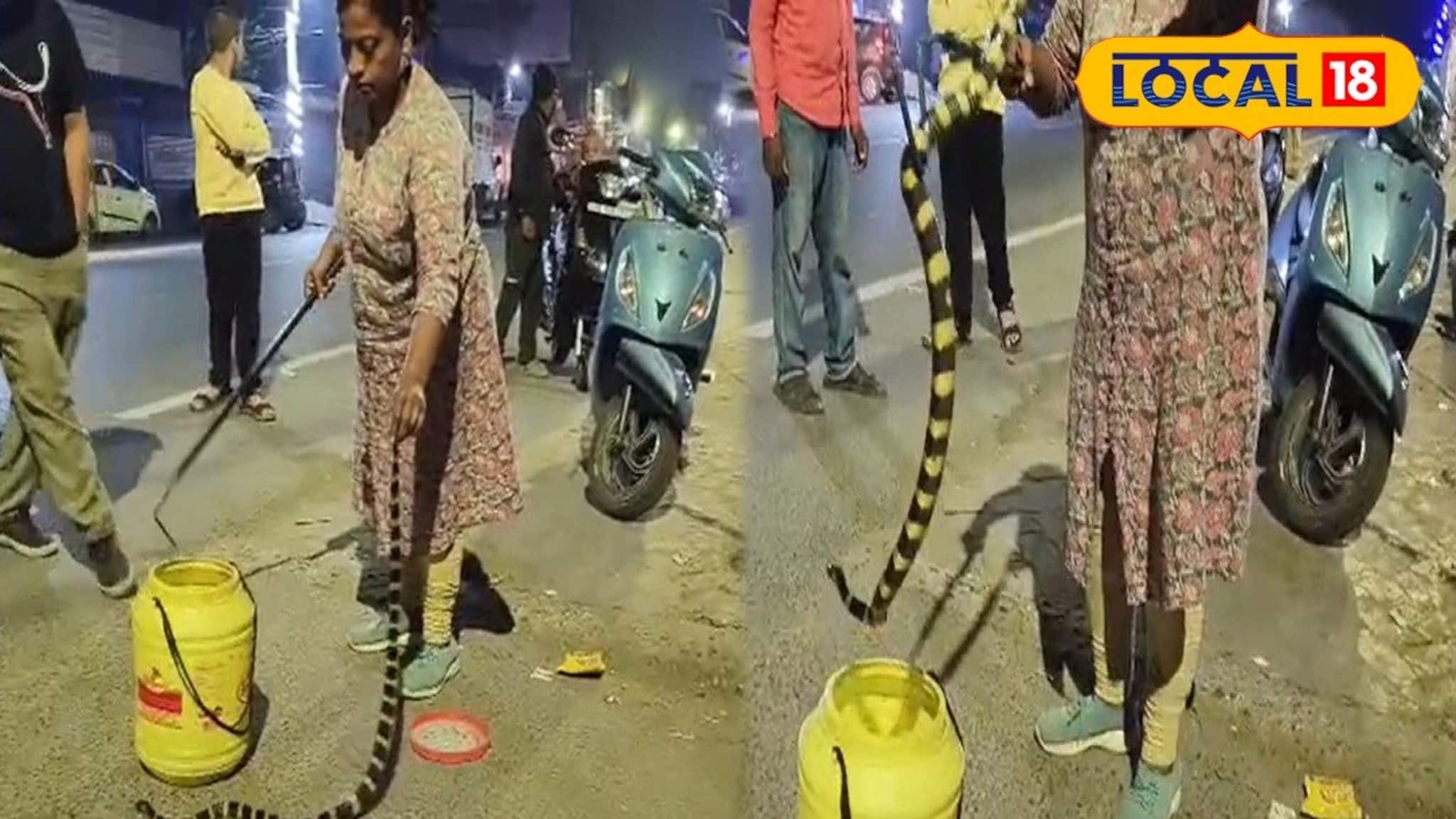 এক ছোবলেই ছবি! এশিয়ার অন্যতম বিষাক্ত ও বিরল সাপের দেখা বসতি এলাকায়