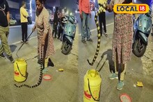 এক ছোবলেই ছবি! এশিয়ার অন্যতম বিষাক্ত ও বিরল সাপের দেখা বসতি এলাকায়