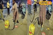 Poisonous Snake: এশিয়ার অন্যতম বিষাক্ত সাপ! যার এক ছোবলেই ছবি, বসতি এলাকায় সেই বিরল ব্যান্ডেড ক্রেইটের দেখা, কী হল তারপর?