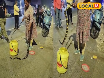 বিরল ও বিষাক্ত ব্যান্ডেড ক্রেইট সাপ উদ্ধার বিরল ও বিষাক্ত ব্যান্ডেড ক্রেইট সাপ উদ্ধার