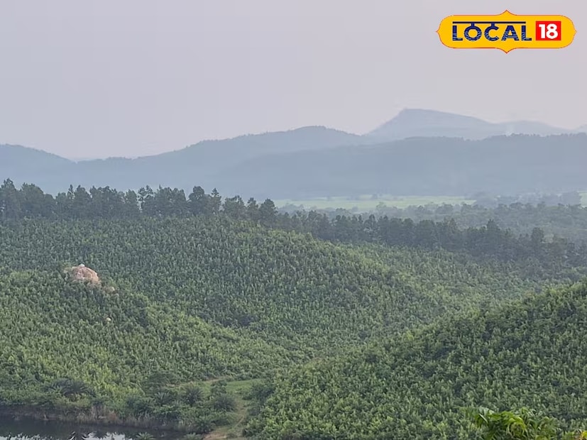 ঝাড়গ্রাম: শীতকালে সকলে কাশ্মীর ঘুরতে যেতে পছন্দ করে অনেকে। চিৎকার-কোলাহলের বাইরে এক ফালি আনন্দের জন্য সকলের পছন্দ জঙ্গলে ঘেরা গ্রাম কিংবা সবুজে ঘেরা কোনও ঘোরার জায়গা। সারাদিনের ক্লান্তি ভুলে অন্তত একদিনের জন্য ঘুরে যেতে পারেন জঙ্গলমহলের এই জায়গা থেকে। পাবেন পেহেলগাঁও ঘোরার স্বাদ। ভূস্বর্গ কাশ্মীরের পেহেলগাঁও-এর বৈসরন ভ্যালির মতই প্রাকৃতিক সৌন্দর্যে মোড়া রয়েছে ঝাড়গ্রামের বেলপাহাড়ির এই স্থান। পর্যটকেরা এই স্থানের বৈসরন ভ্যালির মিল খুঁজে পান অনেকে একে মিনি পহেলগাঁও বলছেন।