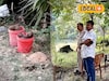 পুকুরপাড়ে 'ওগুলো' কী? কাছে যেতেই আঁতকে ওঠার মতো অবস্থা! ছুটে এল পুলিশ, হাড়োয়ায় শোরগোল