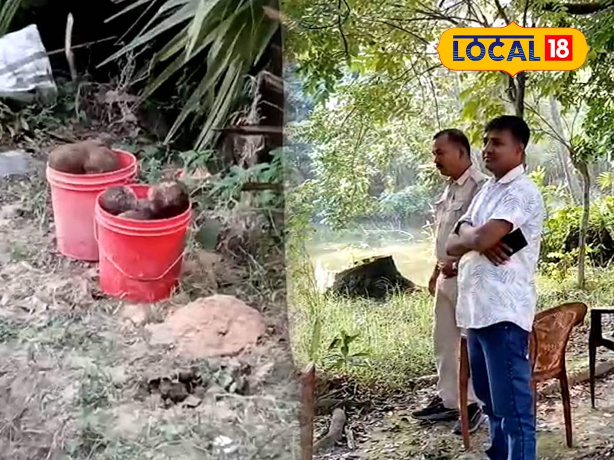North 24 Parganas News: পুকুরপাড়ে 'ওগুলো' কী? কাছে যেতেই আঁতকে ওঠার মতো অবস্থা! ছুটে এল পুলিশ, হাড়োয়ায় শোরগোল