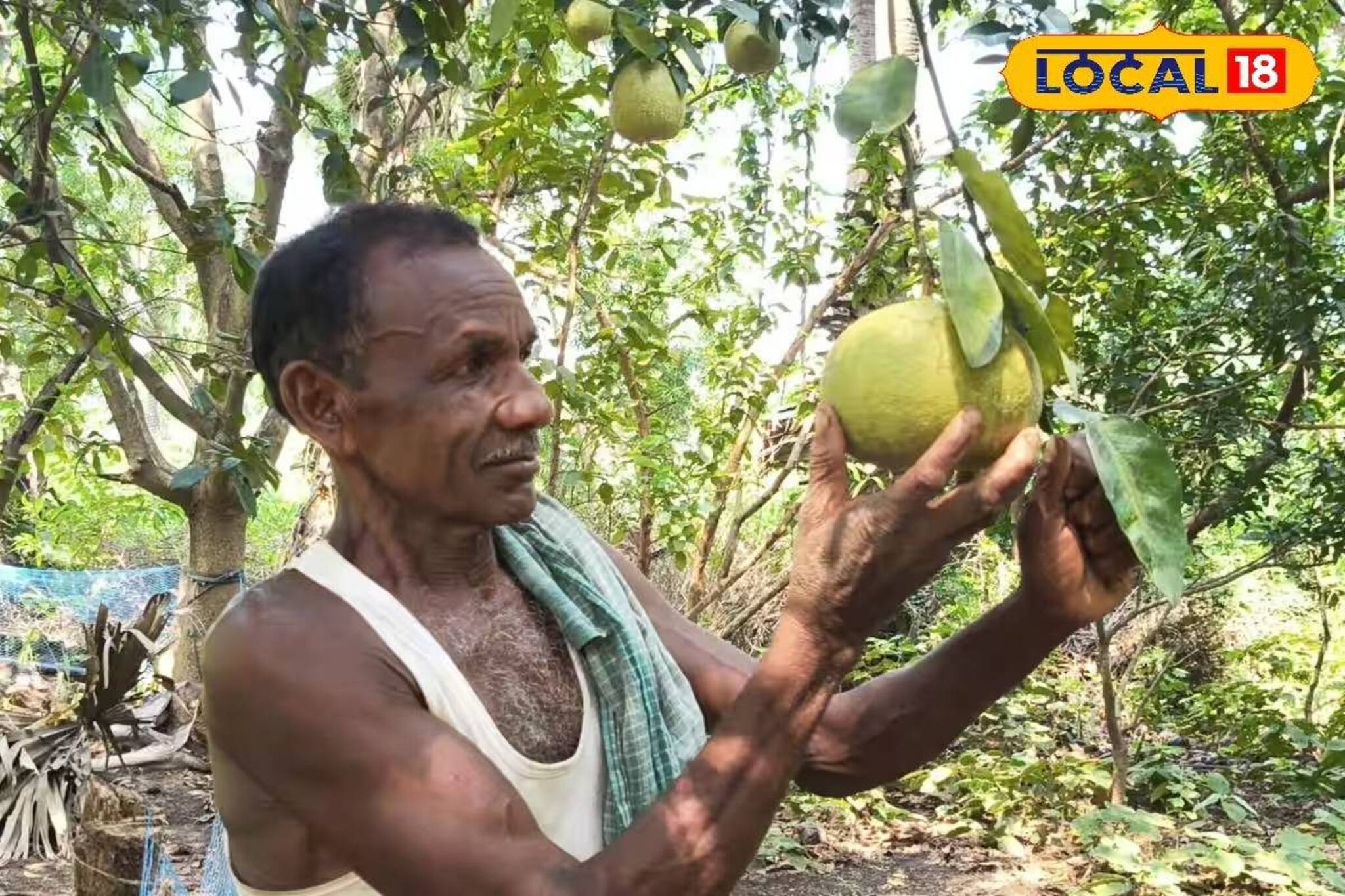 পুরুলিয়ার কৃষকের দারুণ আইডিয়া! বাড়ির জমিতে করছেন 'এইসব' চাষ, মাসে প্রায় ১ লক্ষ টাকা আয়