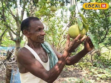 ফলচাষি
