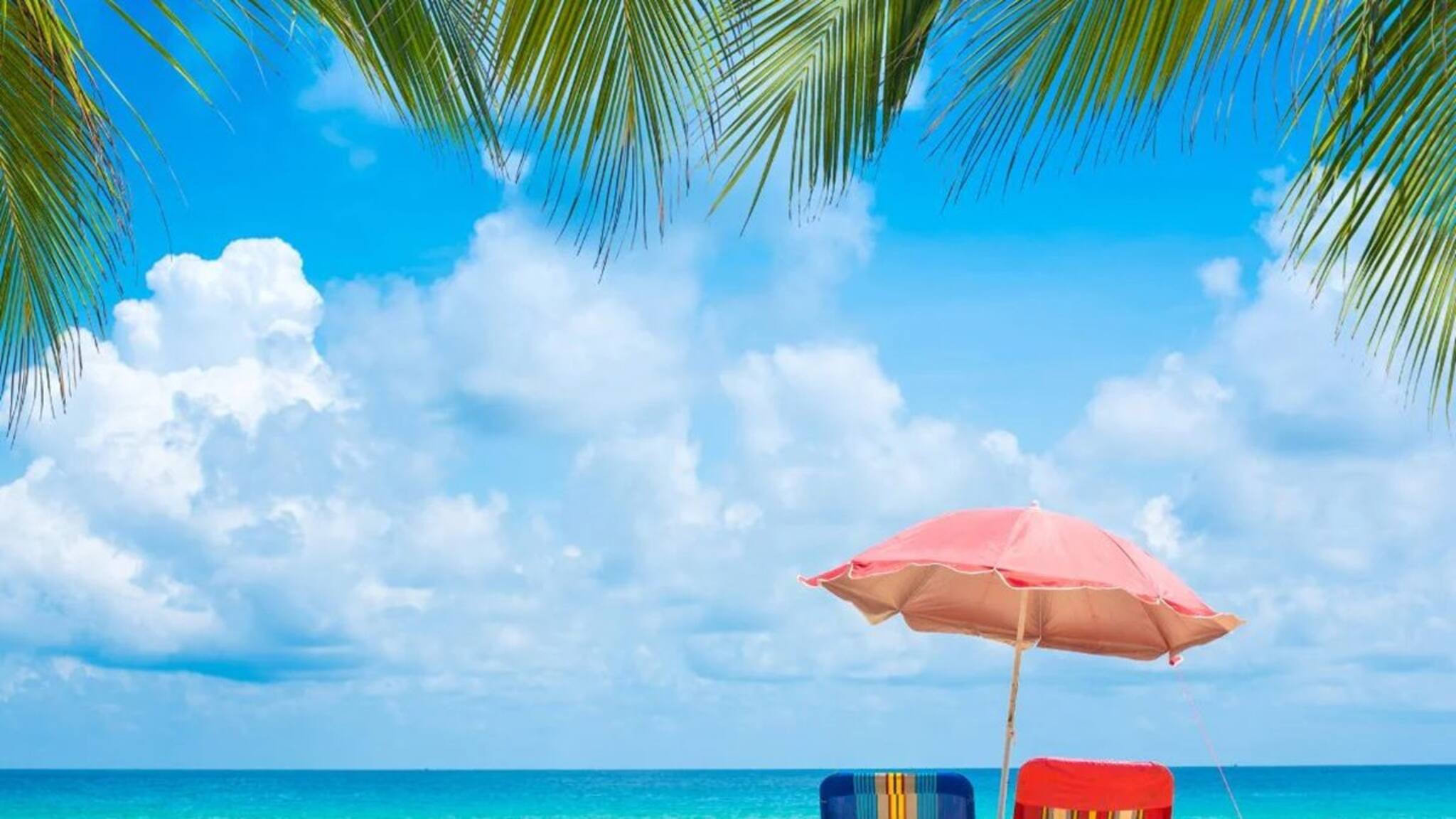 ভারতের সবথেকে পরিষ্কার ৮ সমুদ্র সৈকত অবশ্যই ঘুরে দেখা উচিত, গুজরাত থেকে কেরল, দেখে নিন এক ঝলকে