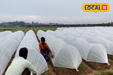 মান্থার প্রভাবে 'মাথায় হাত', পেঁয়াজ বাঁচাতে কৃষকরা ঢালছেন কাঁড়ি কাঁড়ি টাকা