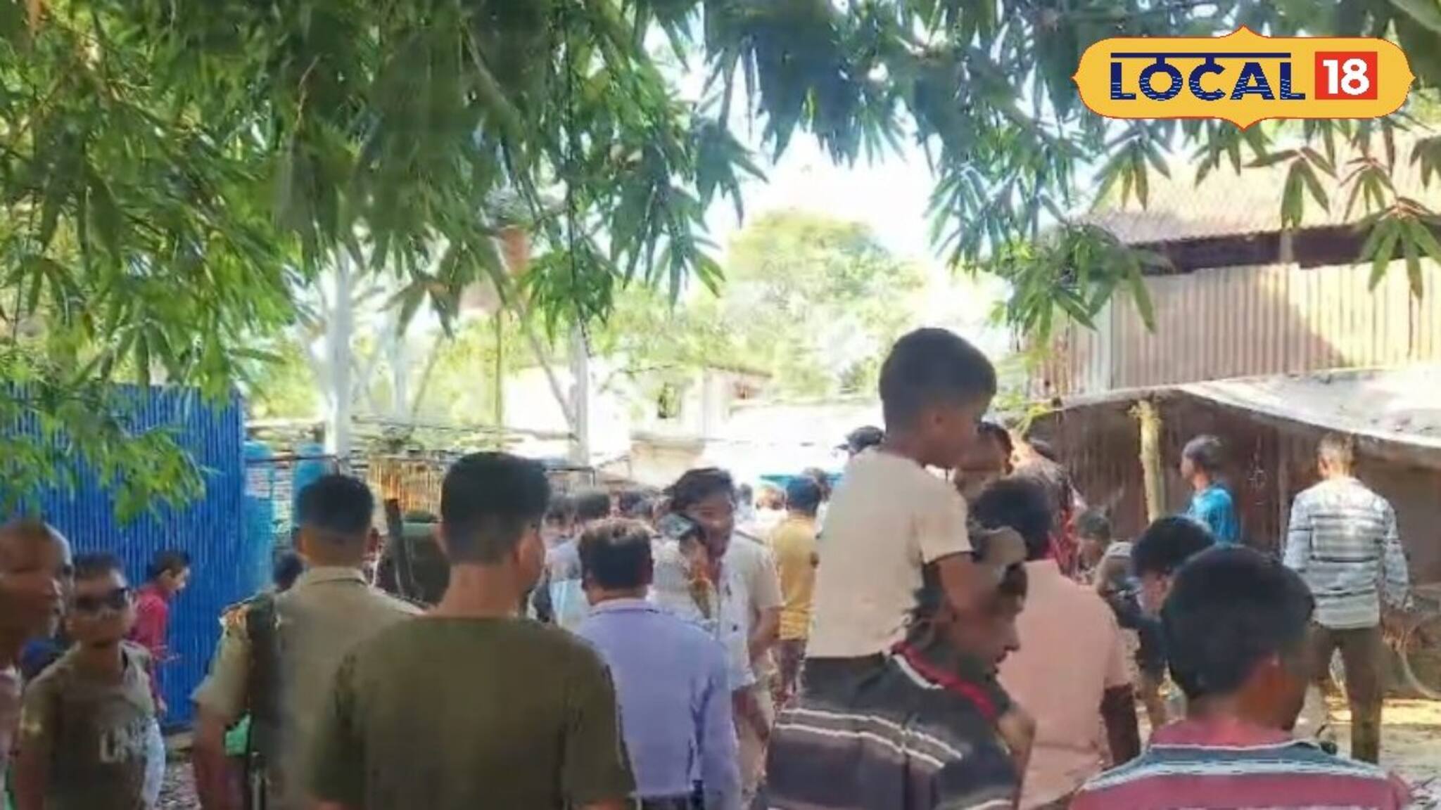 বন্যার পর পুকুরে 'অজানা জন্তুর' আনাগোনা, কুমির নাকি...! ধূপগুড়িতে নতুন আতঙ্ক