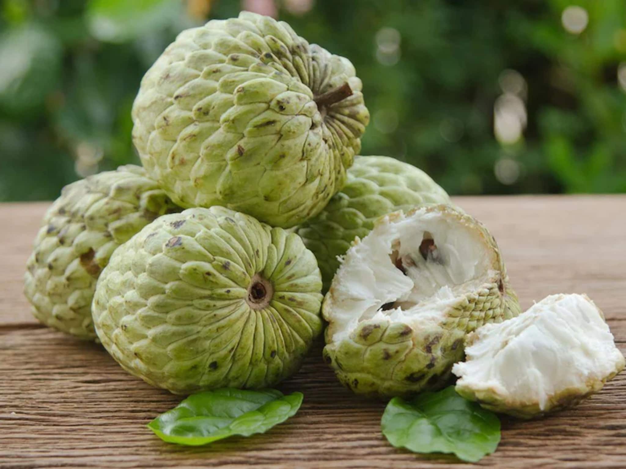 Custard Apple: এবার বাজার ভরে যাবে ঠিকই, তবে এই কয়েক সমস্যা থাকলে খাওয়া দূর অস্ত, আতার দিকে তাকাবেনও না !