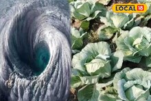 ঘূর্ণিঝড় মন্থার প্রভাবে প্রবল ঝড়বৃষ্টি! দক্ষিণবঙ্গের বিভিন্ন জেলায় তাণ্ডবের আশঙ্কা