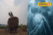 Cyclone Montha: মঙ্গলে আছড়ে পড়বে মন্থা! ঘূর্ণিঝড়ের প্রভাবে পাকা ধান নষ্ট হওয়ার আশঙ্কা, তড়িঘড়ি মাঠে ফসল কাটা শুরু