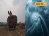 মঙ্গলে আছড়ে পড়বে মন্থা! ঘূর্ণিঝড়ের প্রভাবে পাকা ধান মাঠেই নষ্ট হওয়ার আশঙ্কা