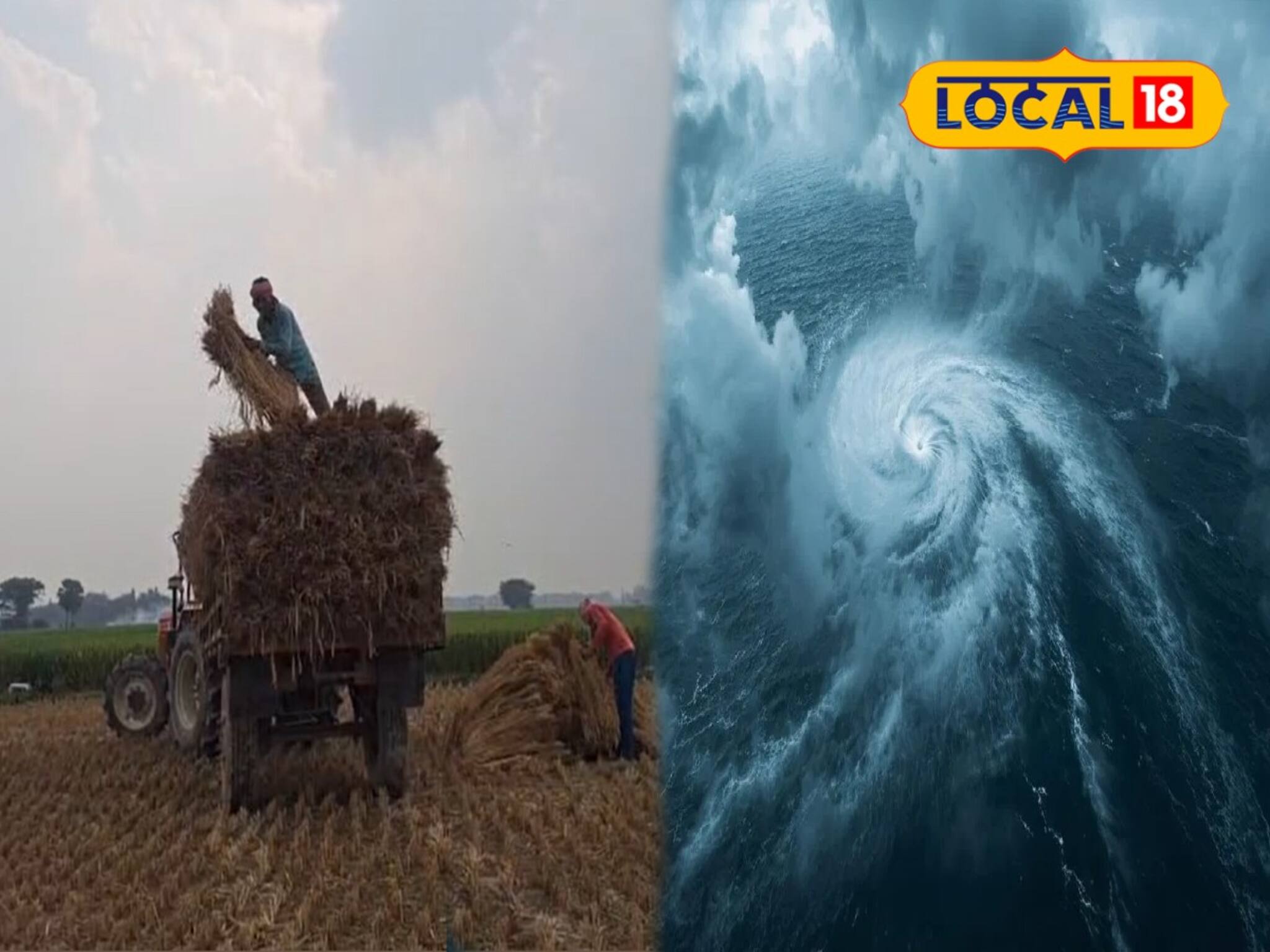 মঙ্গলে আছড়ে পড়বে মন্থা! ঘূর্ণিঝড়ের প্রভাবে পাকা ধান মাঠেই নষ্ট হওয়ার আশঙ্কা