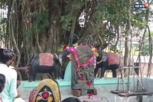 দামোদরে মাছ ধরার জালে কী উঠলো জানেন! শুনলে অবাক হবেন আপনি