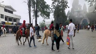 দার্জিলিংয়ে পর্যটকের ভিড়