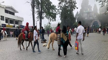 দার্জিলিংয়ে পর্যটকের ভিড় দার্জিলিংয়ে পর্যটকের ভিড়