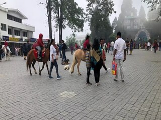 দার্জিলিংয়ে পর্যটকের ভিড়