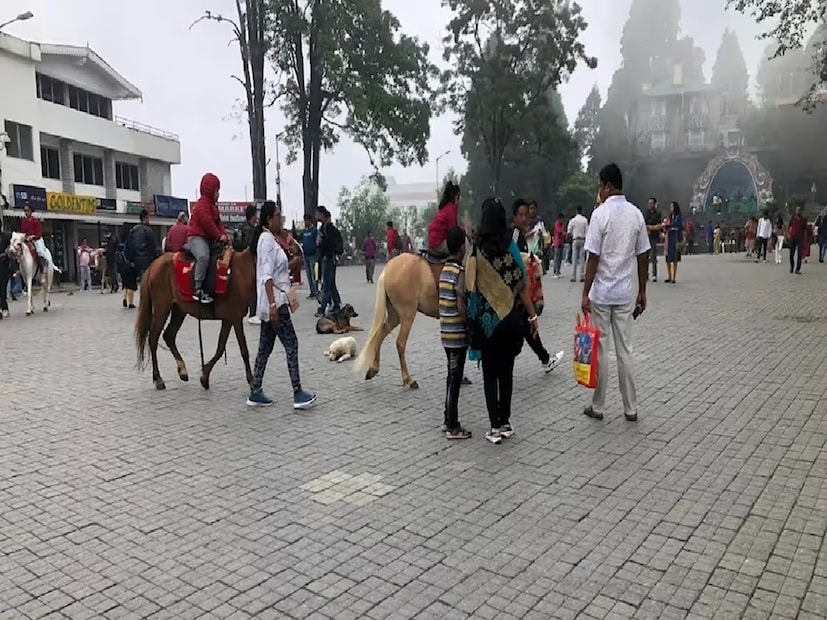উত্তরবঙ্গে কুয়াশার ঘনঘটা হতে পারে অন্তত চার জেলাতে। দার্জিলিং-সহ পার্বত্য এলাকায় আগামী কয়েক দিন মাঝারি কুয়াশা থাকবে।দৃশ্যমানতা ২০০ মিটারে নেমে আসতে পারে। হালকা থেকে মাঝারি কুয়াশার সতর্কবার্তা দার্জিলিং ছাড়া জলপাইগুড়ি আলিপুরদুয়ার এবং কোচবিহার জেলাতে।