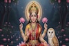 দীপাবলিতে ৬ জিনিস দেখা খুবই শুভ! দেবী লক্ষ্মীর আশীর্বাদ নিশ্চিত, ব্যাঙ্ক ব্যালেন্স বাড়বে