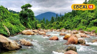 খাঁ খাঁ করছে ডুয়ার্স