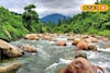 বেড়ানোর মরশুমে খাঁ খাঁ করছে ডুয়ার্স, কেন মুখ ফেরাচ্ছেন ভ্রমণপ্রেমীরা?