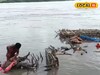 ইছামতীর স্বচ্ছতা ফেরাতে অ্যাকশনে ৩ পুরসভা! দুর্গাপুজো মিটতেই বসিরহাটে কী হচ্ছে দেখুন