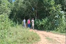 জঙ্গলে নিয়ে গিয়ে ছাত্রীর শ্লীলতাহানি করে সহপাঠী, তার পর? দুর্গাপুর কাণ্ডে বিরাট মোড়
