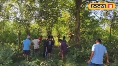 জঙ্গলে গরু খুঁজতে গিয়ে হাতির হামলায় মৃত্যু প্রৌঢ়ের জঙ্গলে গরু খুঁজতে গিয়ে হাতির হামলায় মৃত্যু প্রৌঢ়ের