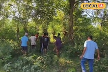 গরু খুঁজতে গিয়েই সর্বনাশ! ঝোপঝাড়ের আড়াল থেকে এগিয়ে এল সাক্ষাৎ ‌'যমদূত'