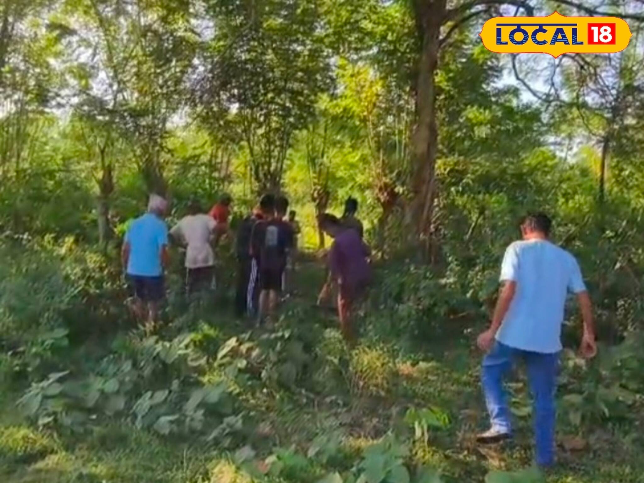 Elephant Attack: জঙ্গলে গরু খুঁজতে গিয়েই সর্বনাশ! ঝোপঝাড়ের আড়াল থেকে এগিয়ে এল সাক্ষাৎ ‌'যমদূত', মুহূর্তে সব শেষ