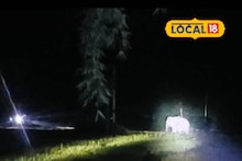 Elephant Attack: রাতের অন্ধকারে গজরাজের হানা! ধান ক্ষেতে ঢুকে পড়ল দলছুট বুনো হাতি, চরম আতঙ্ক এলাকায়