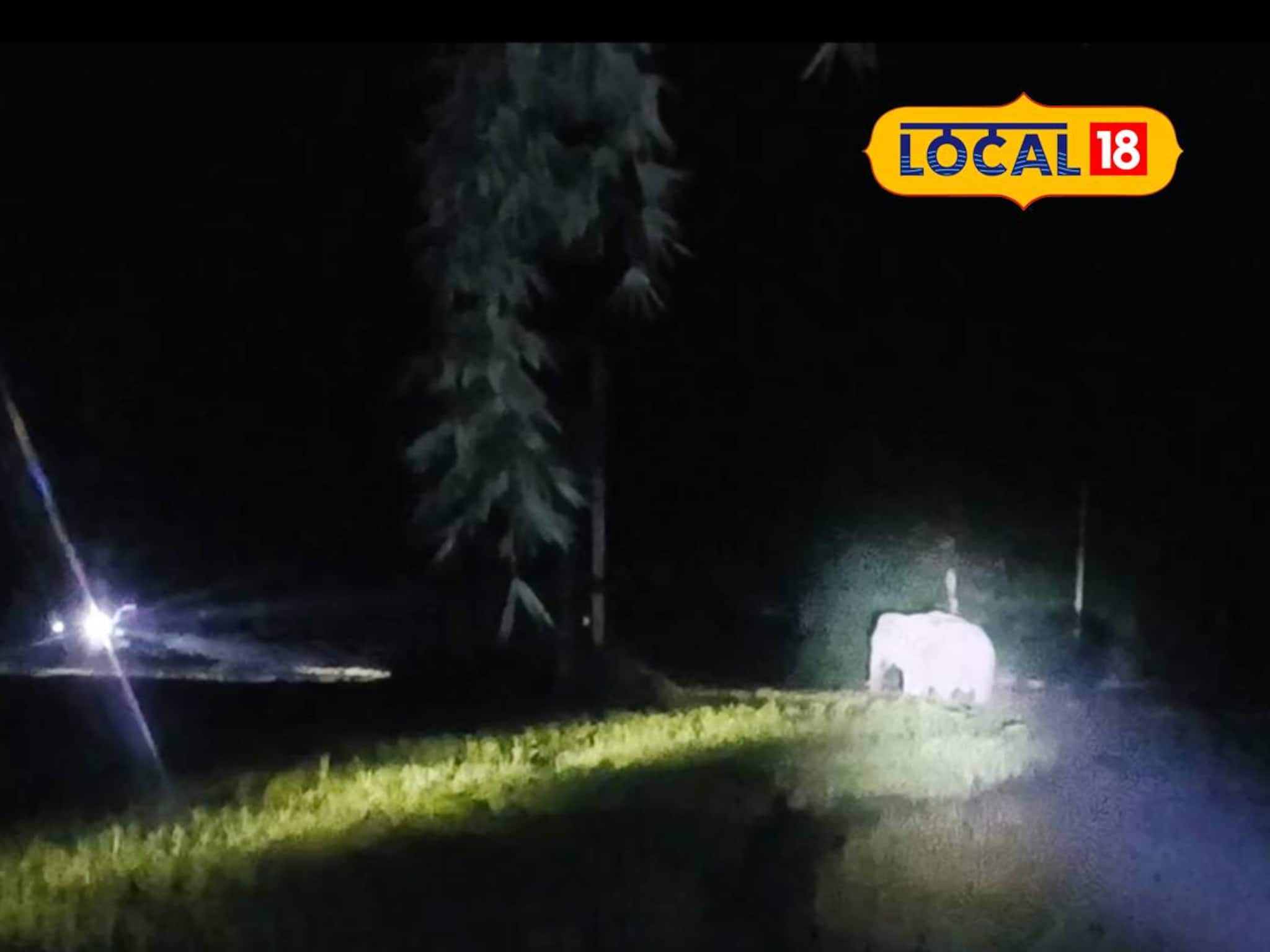 Elephant Attack: রাতের অন্ধকারে গজরাজের হানা! ধান ক্ষেতে ঢুকে পড়ল দলছুট বুনো হাতি, চরম আতঙ্ক এলাকায় Elephant Attack: রাতের অন্ধকারে গজরাজের হানা! ধান ক্ষেতে ঢুকে পড়ল দলছুট বুনো হাতি, চরম আতঙ্ক এলাকায়