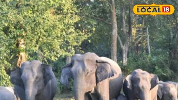 উত্তরবঙ্গে