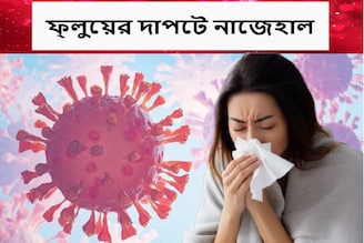 এই দেশের বড় শহরে বন্ধ স্কুল, ভয়ানক আকারে ছড়িয়ে পড়ছে ফ্লু, হাসপাতালে ভর্তি হাজার-হাজার