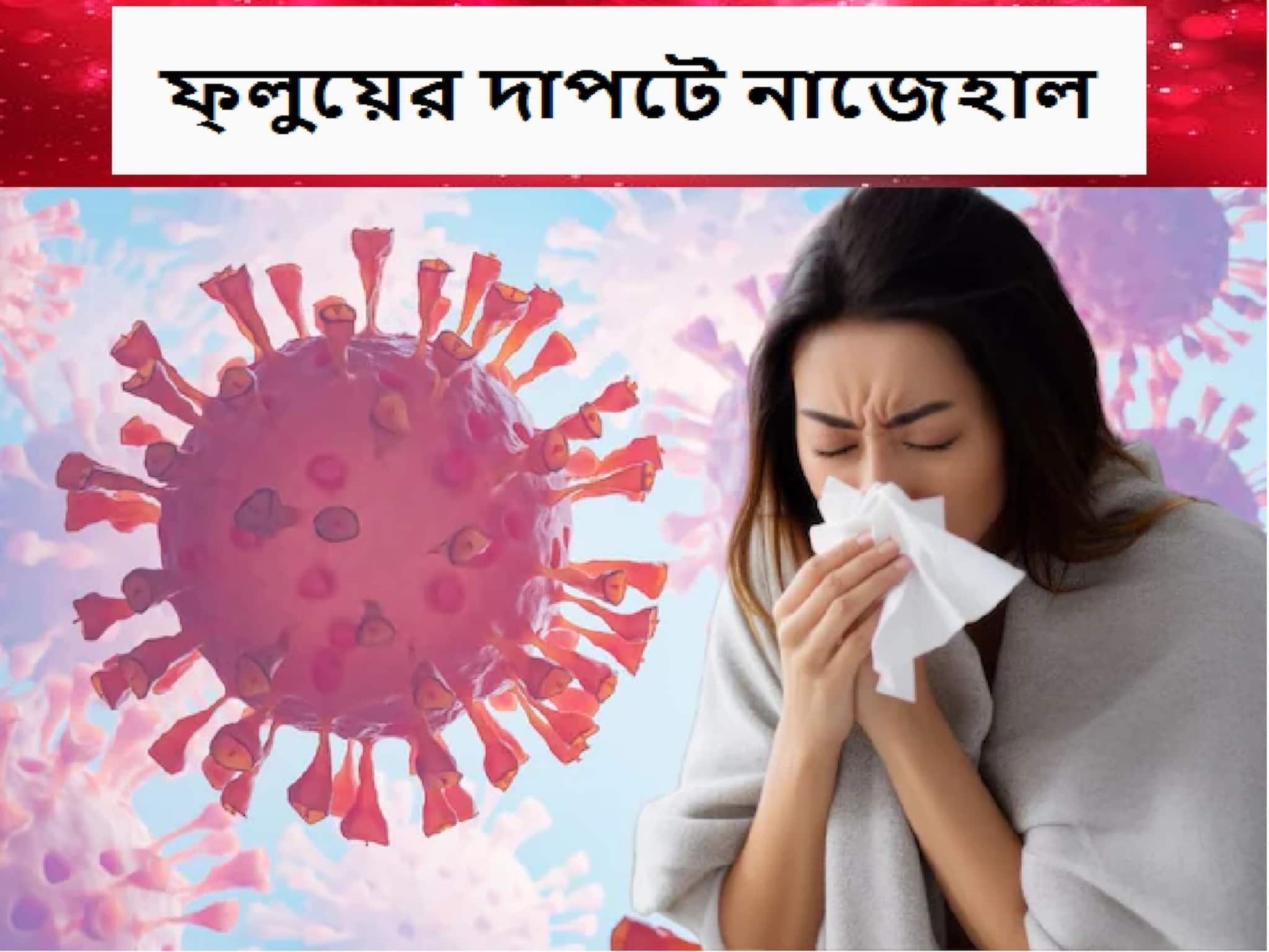Flu Out Break: ইতিমধ্যেই এই দেশের বিভিন্ন বড় শহর বন্ধ স্কুল, ক্রেশ, ভয়ানক আকারে ছড়িয়ে পড়ছে ফ্লু, হাসপাতালে ভর্তি হাজার-হাজার