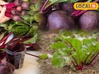 নভেম্বর মাসে বিটরুট চাষ শুরু করুন, বাড়বে তরতরিয়ে, জেনে নিন সহজ পদ্ধতি