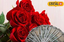 Rose Farming: ঠিক যেন কৃষকদের 'ATM', কম খরচে 'ম্যাক্সিমাম' মুনাফা, গোলাপ চাষের রহস্য