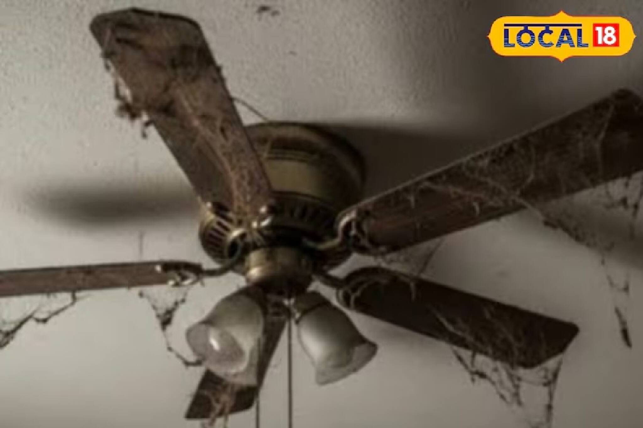 সব পরিষ্কার করলেও সিলিং ফ্যান ঝুলে ভরে গেছে!লাগবে না মইও,এক্সপার্টের টিপসে নিমেষে হবে নতুন