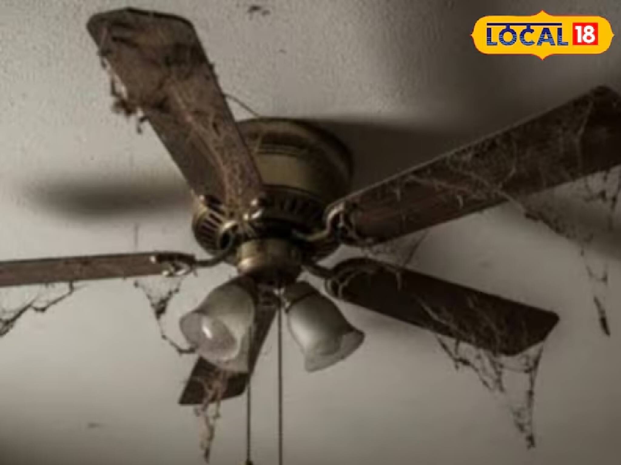 Fan Cleaning: সব পরিষ্কার করলেও সিলিং ফ্যান ঝুলে ভরে গেছে! লাগবে না মইও, এক্সপার্টের টিপসে নিমেষে নতুন হবে পাখা