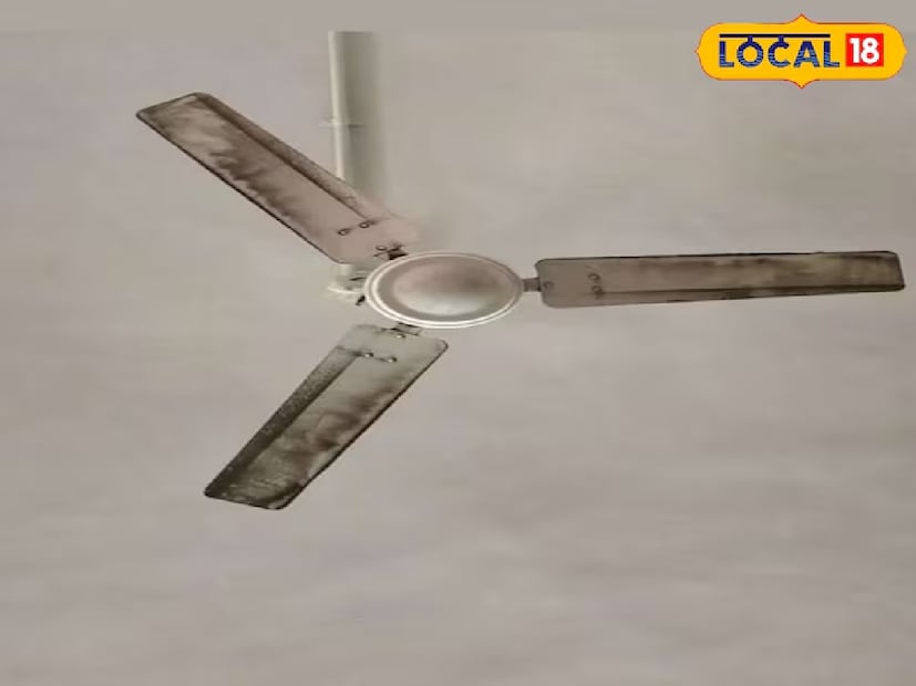যদি পাখা খুব উঁচুতে থাকে, তাহলে লম্বা হাতলযুক্ত ডাস্টার ব্যবহার করুন। বাজারে ডাস্টার সহজেই পাওয়া যায় যা ব্লেডের উপরের এবং নীচের অংশ উভয়ই পরিষ্কার করতে পারে। হাত স্থির রেখে ব্লেড থেকে ধুলো আলতো করে সরিয়ে ফেলুন, এতে মোটর বা তারের কোনও ক্ষতি রোধ হবে।