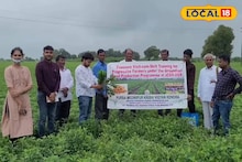 Peanut Cultivation: কমবে চাষের খরচ, বৃদ্ধি পাবে চিনাবাদাম উৎপাদন! কৃষকদের দেওয়া হল বিশেষ প্রশিক্ষণ, হু হু করে বাড়বে লাভ