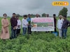 কমবে চাষের খরচ, বৃদ্ধি পাবে চিনাবাদাম উৎপাদন! কৃষকদের দেওয়া হল বিশেষ প্রশিক্ষণ