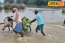 Farmers: লক্ষ্মীপুজোয় লক্ষ্মীলাভের আশায় জল! বাড়ি থেকে বেরিয়ে দুর্ভোগ কৃষকদের, ঝাড়গ্রামে কী হল দেখুন